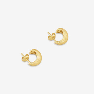 SOL DUST EARRING