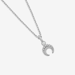 Crescent Charm Kolye