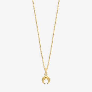 Crescent Charm Kolye