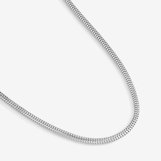 Essential Chain Necklace