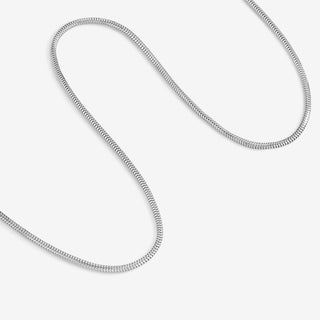 Essential Chain Necklace