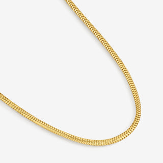 Essential Chain Necklace