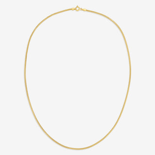 Essential Chain Necklace