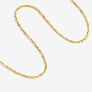 Essential Chain Necklace